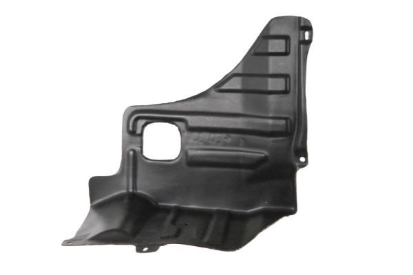 Unterfahrschutz Motorschutz