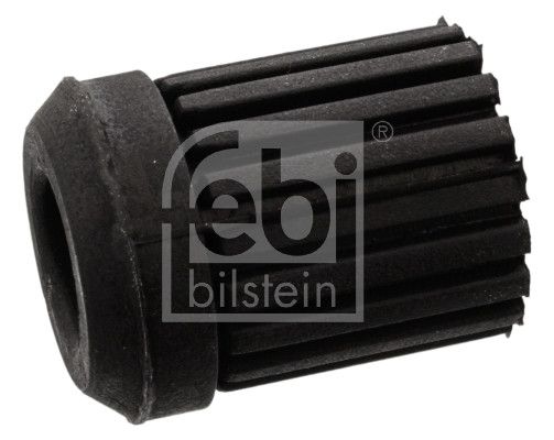 Federbuchs Blattfeder