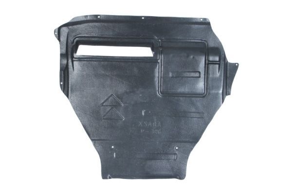 Unterfahrschutz Motorschutz